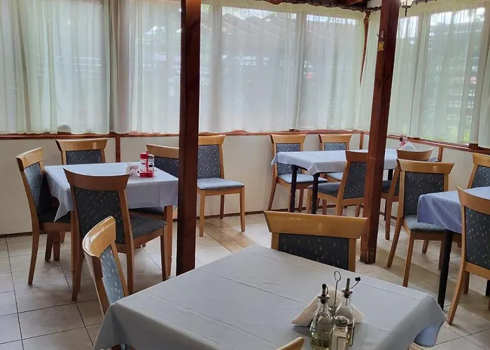 Solar 호스텔 플로브디프